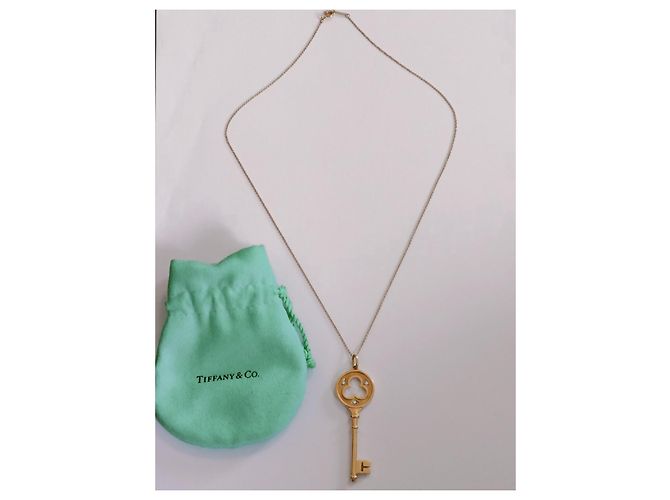 Collana con pendente chiave trifoglio Tiffany & Co in oro bianco e diamanti Giallo - vista 10