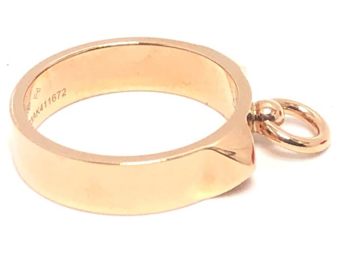 Collier de Chien Collare per cani Hermès D'oro - vista 3