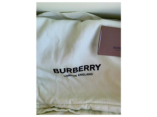 Chanclas Burberry monograma londinense Azul - vista 10