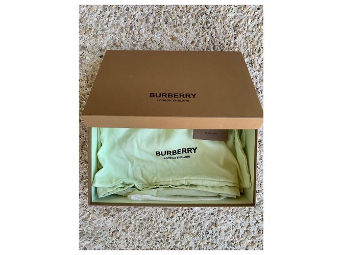 Chanclas Burberry monograma londinense Azul - vista 9