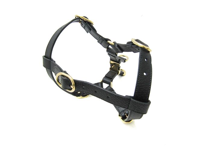 Gucci Interlocking G Dog Harness Black - view 2