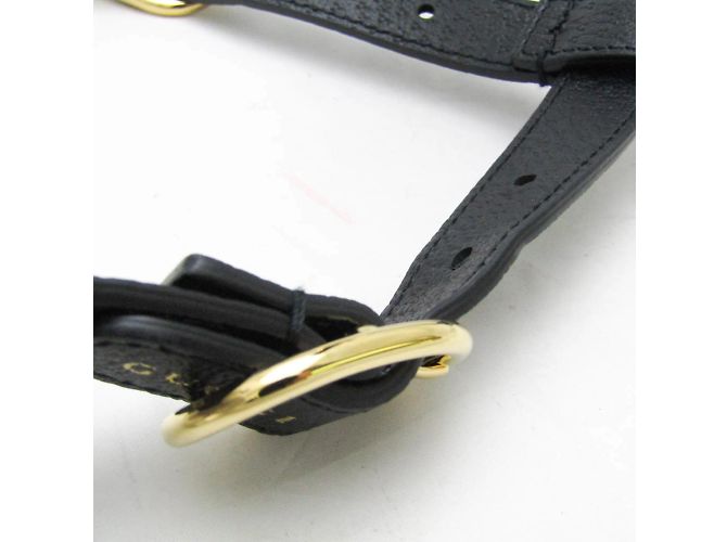 Gucci Interlocking G Dog Harness Black - view 5