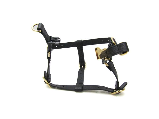Gucci Interlocking G Dog Harness Black - view 8