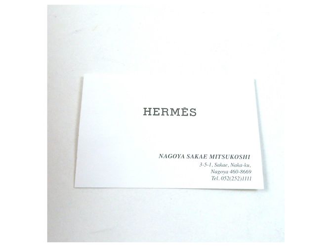 Mule con hebilla Kelly Silver Carlotta de Hermès Blanco - vista 12