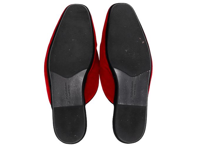 Mule piatte ricamate Dolce & Gabbana in velluto rosso - vista 13