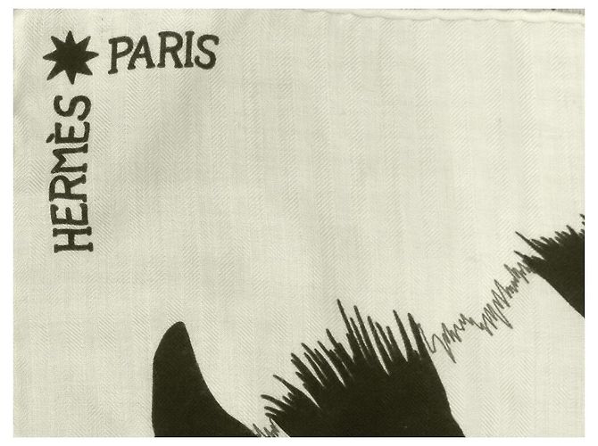 Hermès CHALE HERMES ZEBRA PEGASUS ALICE SHIRLEY SCIALLE IN CASHMERE E SETA Crudo - vista 5