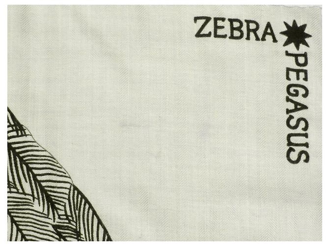 Hermès CHALE HERMES ZEBRA PEGASUS ALICE SHIRLEY SCIALLE IN CASHMERE E SETA Crudo - vista 7