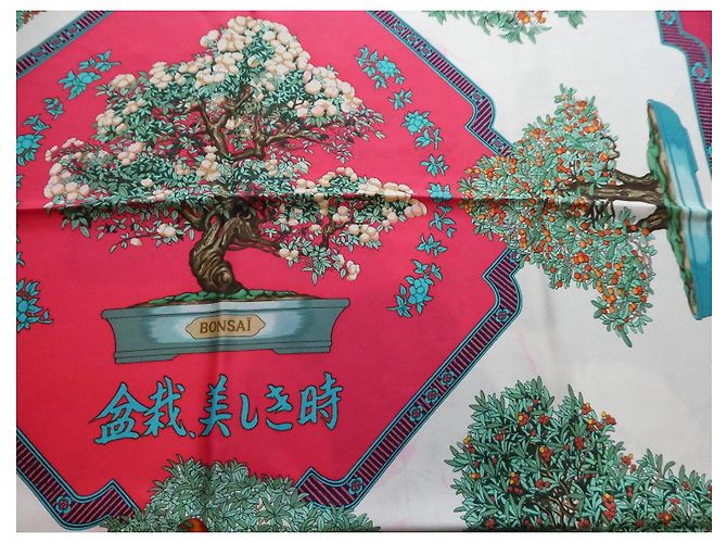 quadrato bonsai Hermès Multicolore - vista 8