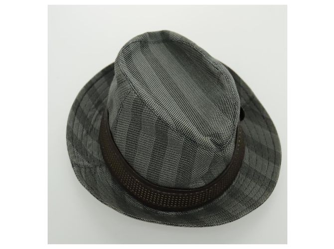 Cappello LOUIS VUITTON in cotone grigio LV Auth bs19057 Marrone - vista 6