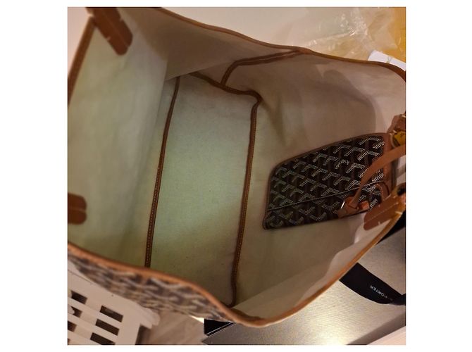 Saint Louis Borsa a mano Goyard St.Louis PM Beige in tela - vista 15