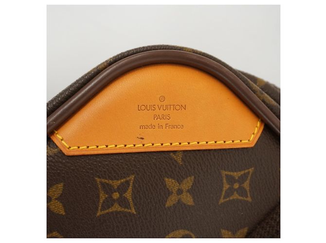 Borsa Boston Monogram Satellite 65 Louis Vuitton Marrone - vista 5