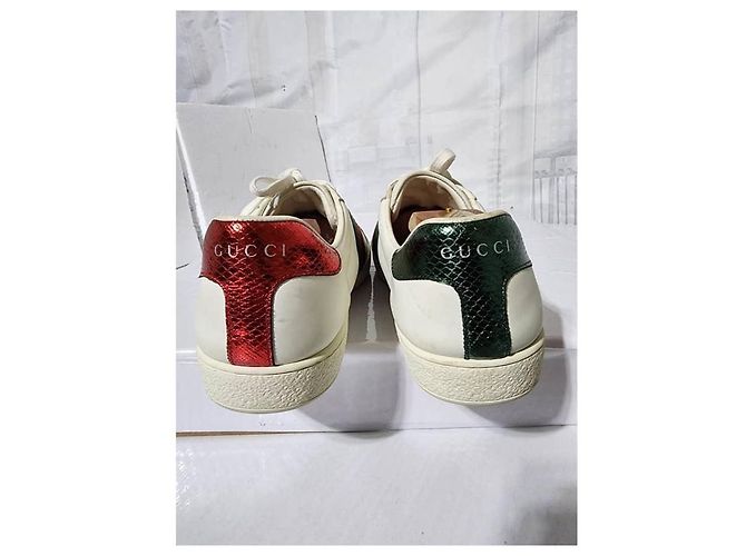 Baskets basses Gucci en cuir Ace Web blanches taille 41 - vue 12