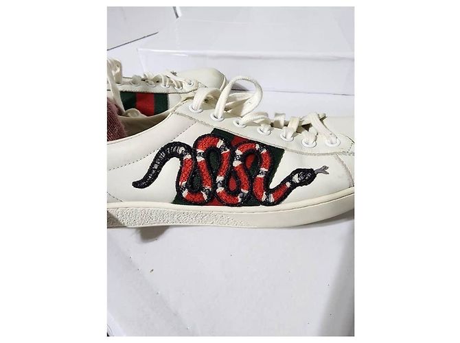 Baskets basses Gucci en cuir Ace Web blanches taille 41 - vue 15