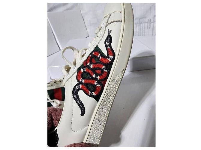 Baskets basses Gucci en cuir Ace Web blanches taille 41 - vue 16