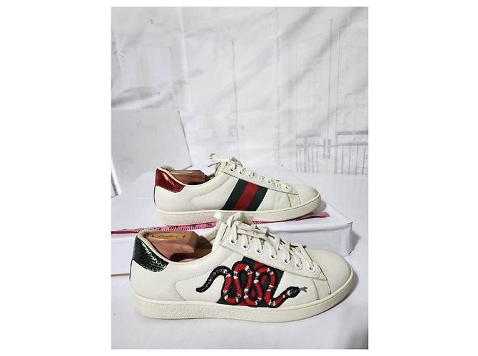 Baskets basses Gucci en cuir Ace Web blanches taille 41 - vue 5