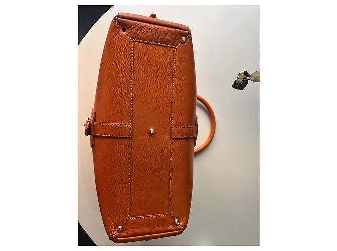 Borsa a mano Loewe Amazona marrone pelliccia Marrone chiaro - vista 11