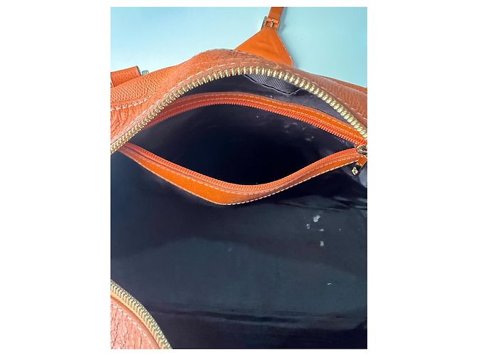 Borsa a mano Loewe Amazona marrone pelliccia Marrone chiaro - vista 9