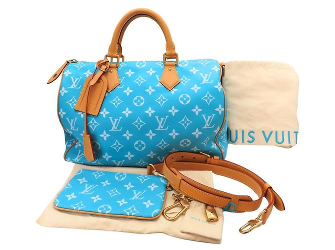 Louis Vuitton Turquoise Speedy 40 Shoulder Bag Blue - view 10