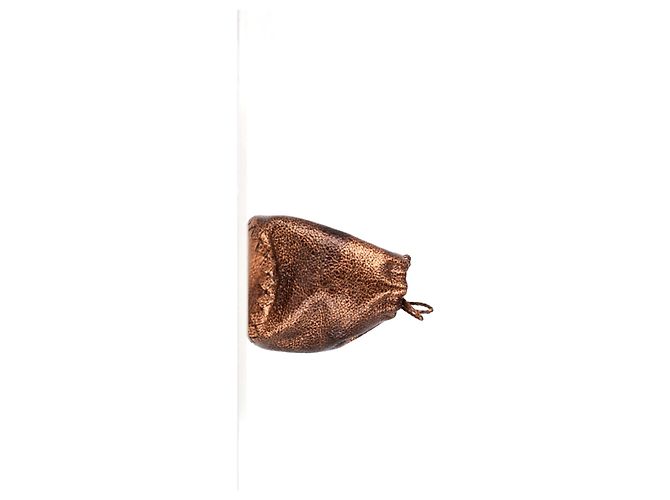 Borsa a sacchetto Bottega Veneta in pelle Cervo bronzo Metallico - vista 13
