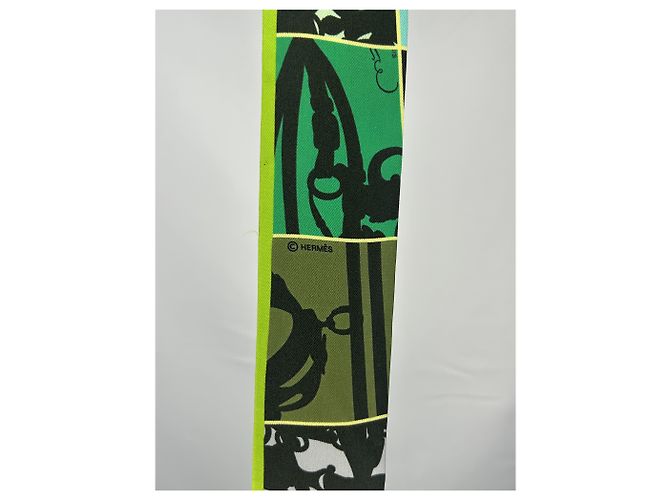 Hermès Hermes 'In Disordine' Twilly verde Nero Verde oliva Verde chiaro Blu chiaro Verde scuro - vista 3