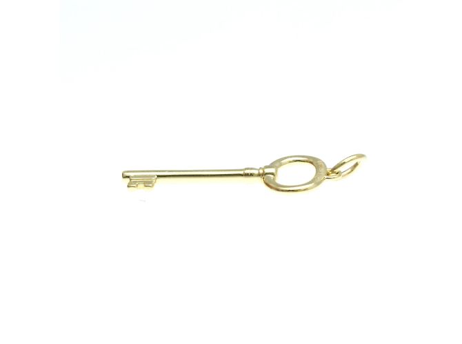 Tiffany & Co Tiffany Oval Key Charm Pendant Necklace Golden - view 4