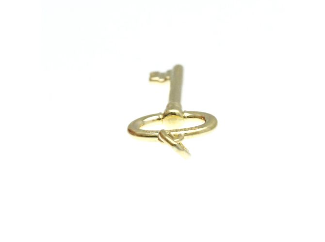 Tiffany & Co Tiffany Oval Key Charm Pendant Necklace Golden - view 5