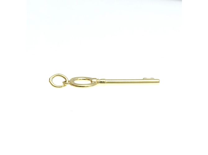 Tiffany & Co Tiffany Oval Key Charm Pendant Necklace Golden - view 6