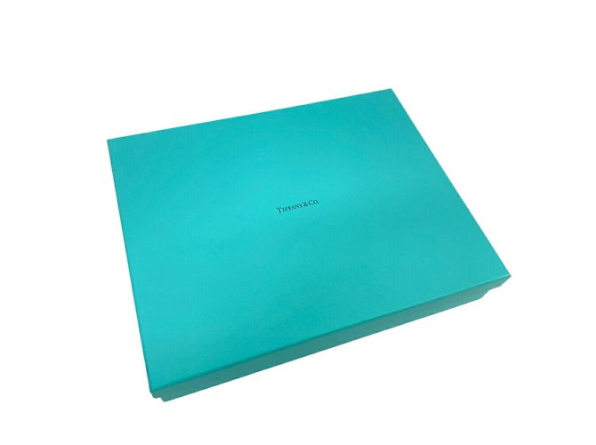 Bolso de hombro Cat Street de Tiffany & Co. - vista 11