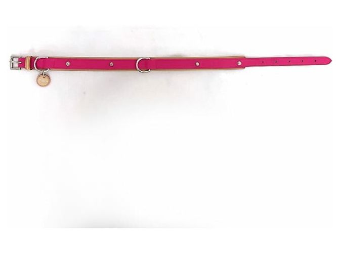 Collar de cuero Balenciaga para perro - vista 7