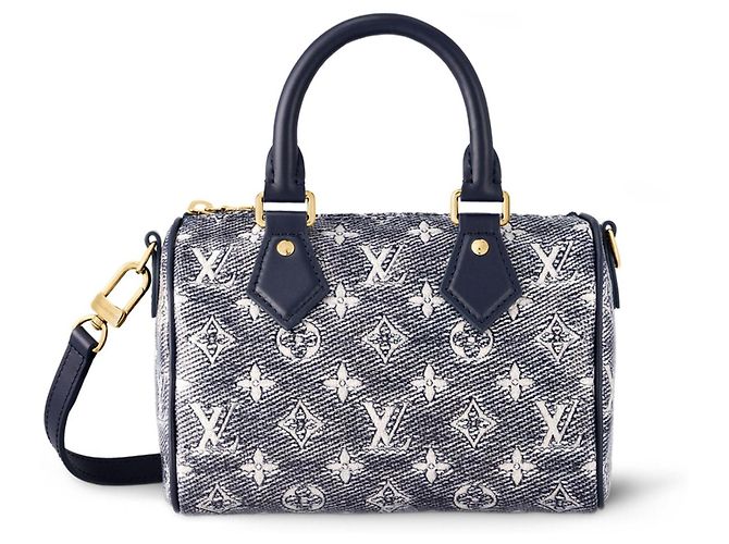 Louis Vuitton LV Speedy 20 monoglam Grigio - vista 2
