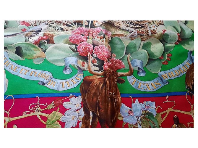 Foulard Hermès intitolato 'Fauna e Flora del Texas' di Olivier Kermit Multicolore - vista 9