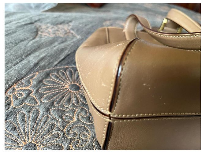 Borsa a spalla Etienne Aigner in pelle beige - vista 3