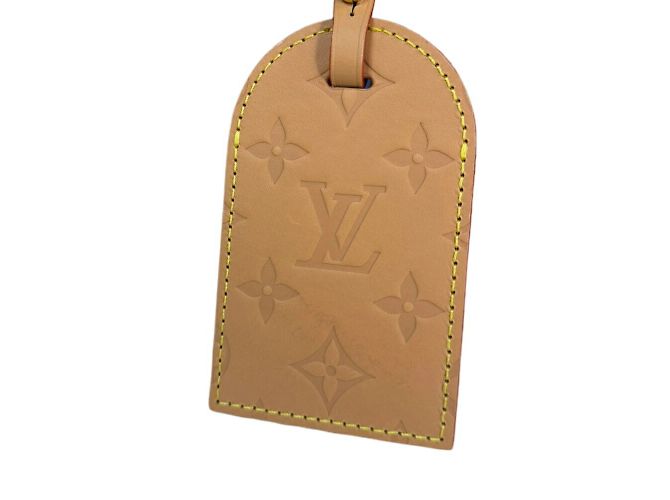 Borsa a Spalla Soft Polochon PM Damier Pop Louis Vuitton Marrone Blu - vista 6