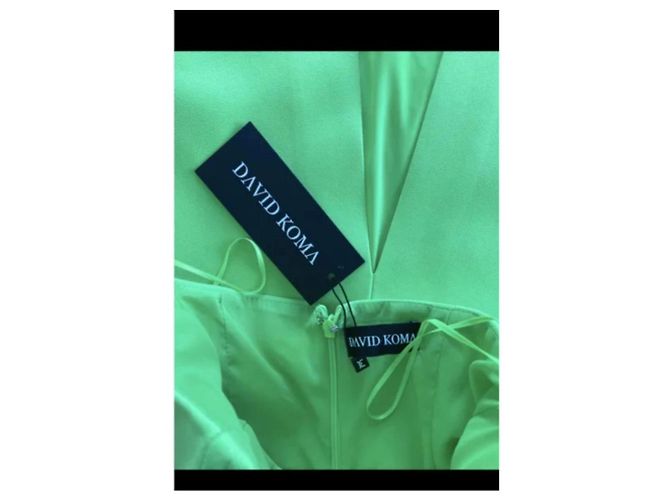 Autre Marque David Koma Kleid aus grüner Viskose - Ansicht 4