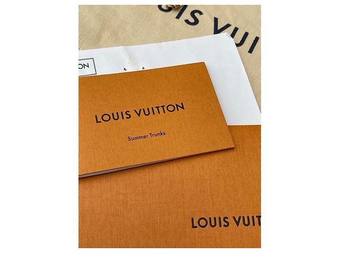 Louis Vuitton Pochette Summer Trunks Damier Azur Beige - vista 6