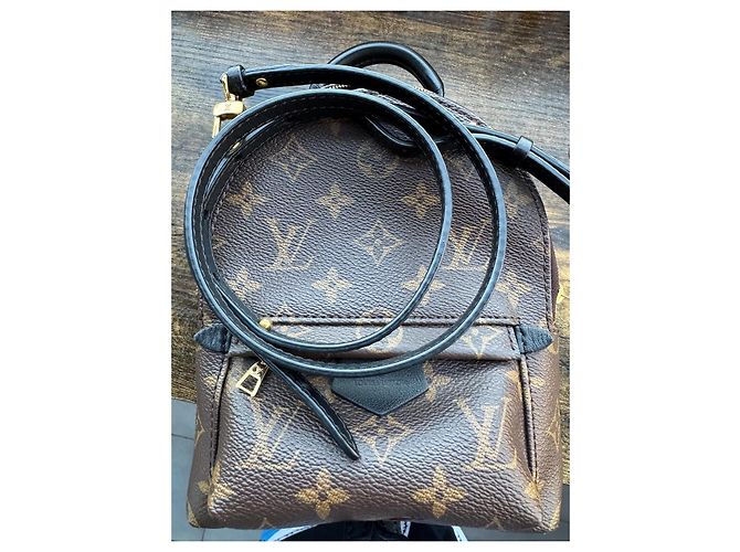 Zaino Louis Vuitton Palm Springs Marrone Scuro Pelliccia - vista 2
