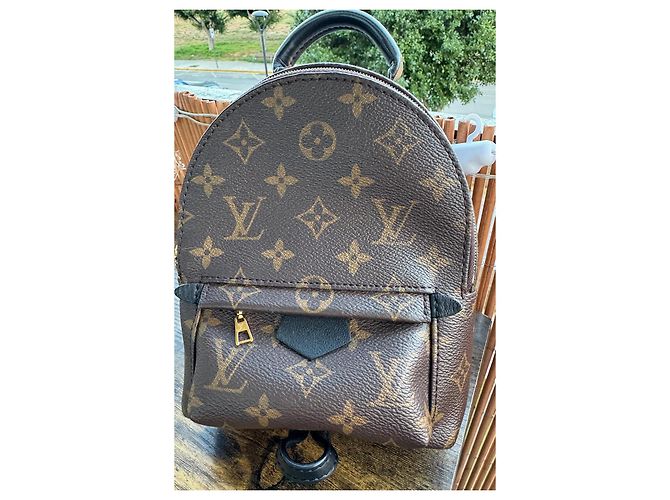 Zaino Louis Vuitton Palm Springs Marrone Scuro Pelliccia - vista 3