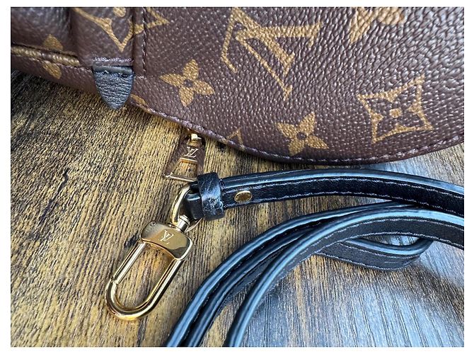Zaino Louis Vuitton Palm Springs Marrone Scuro Pelliccia - vista 5