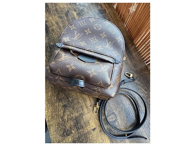Zaino Louis Vuitton Palm Springs Marrone Scuro Pelliccia - vista 6
