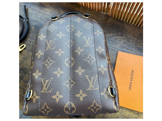 Zaino Louis Vuitton Palm Springs Marrone Scuro Pelliccia - vista 9