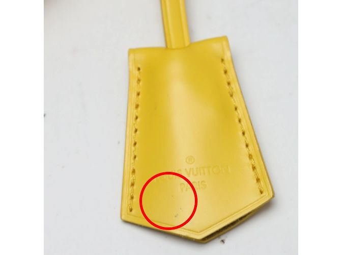 Borsa Epi Alma Louis Vuitton in Citron D'oro - vista 12