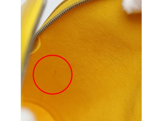 Borsa Epi Alma Louis Vuitton in Citron D'oro - vista 14