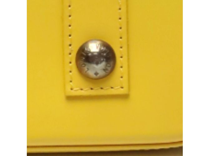 Borsa Epi Alma Louis Vuitton in Citron D'oro - vista 19