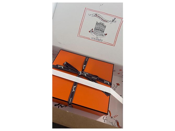 Hermès Evelyne 16 pelle bianca nuova sotto plastica Bianco - vista 13