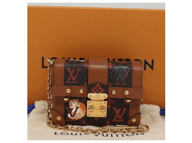 LOUIS VUITTON Monogram Catgram Essential Trunk Pouch M63892 LV Auth 102575S Monogramma - vista 12