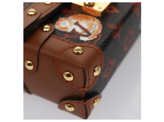 LOUIS VUITTON Monogram Catgram Essential Trunk Pouch M63892 LV Auth 102575S Monogramma - vista 14