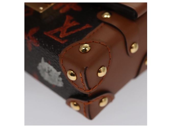 LOUIS VUITTON Monogram Catgram Essential Trunk Pouch M63892 LV Auth 102575S Monogramma - vista 15