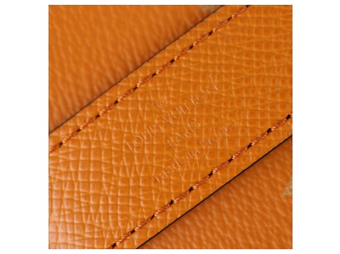 Borsa Louis Vuitton Keepall Bandouliere 25 Taigarama Arancione - vista 10