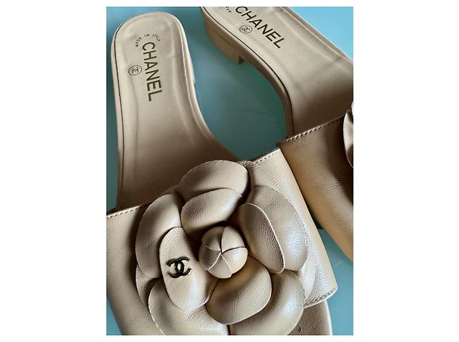 Chanel Infradito Camelia nude Beige Carne - vista 2