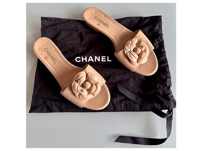 Chanel Infradito Camelia nude Beige Carne - vista 8